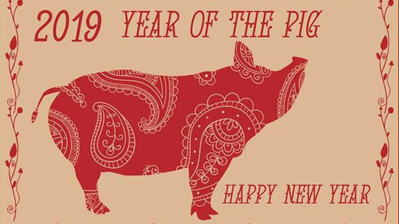 Year of the Pig