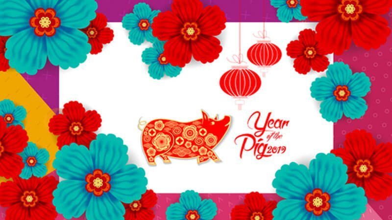 Year of the Pig Event