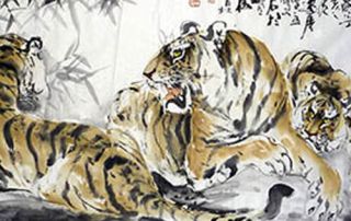 The Power and Influence of Three Tigers