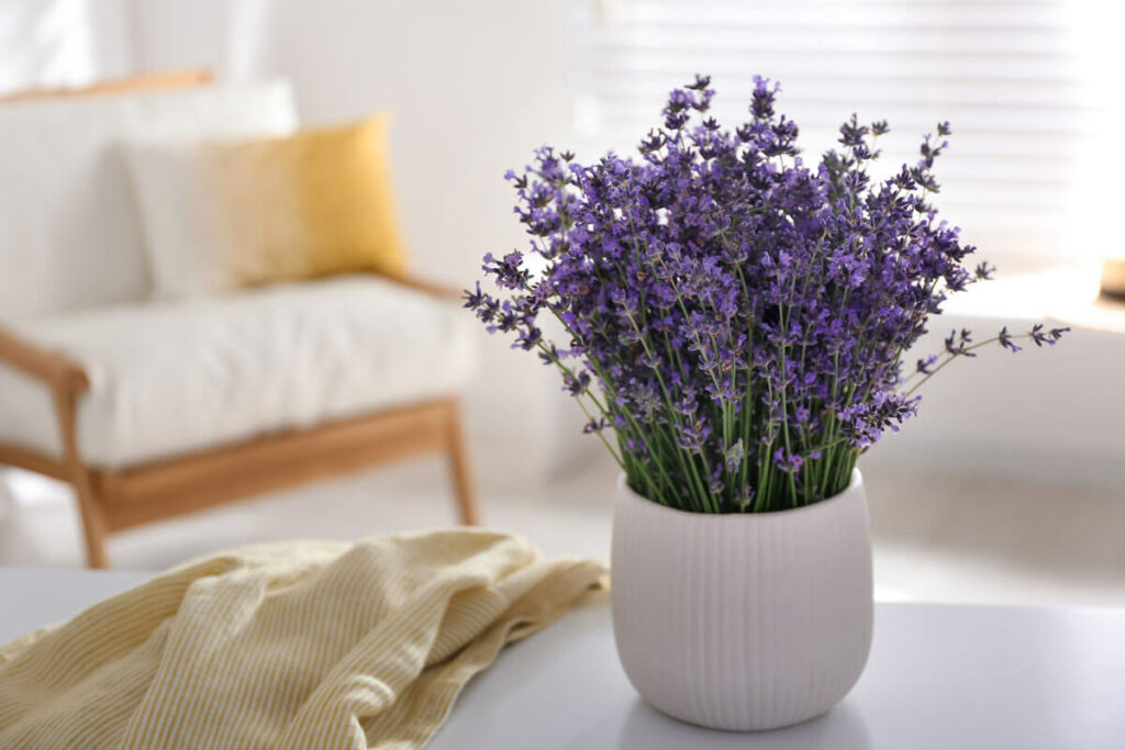 Feng Shui Certification