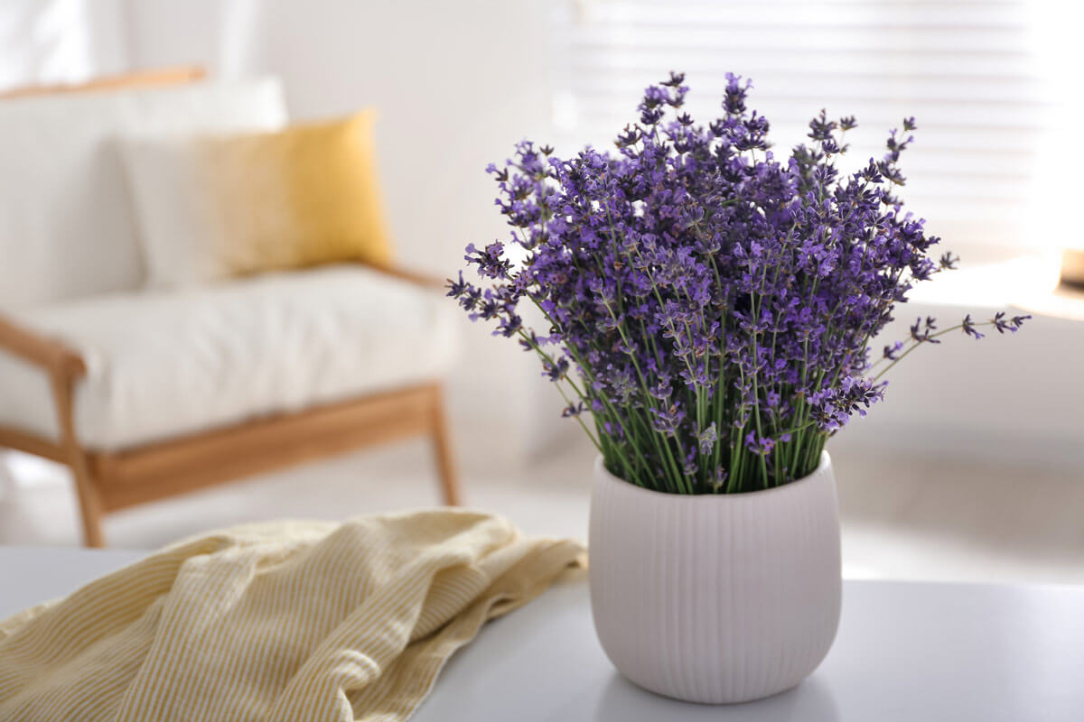 Feng Shui Certification